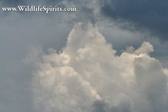 Click Picture to send as an  E-PostCard 64k 550x367